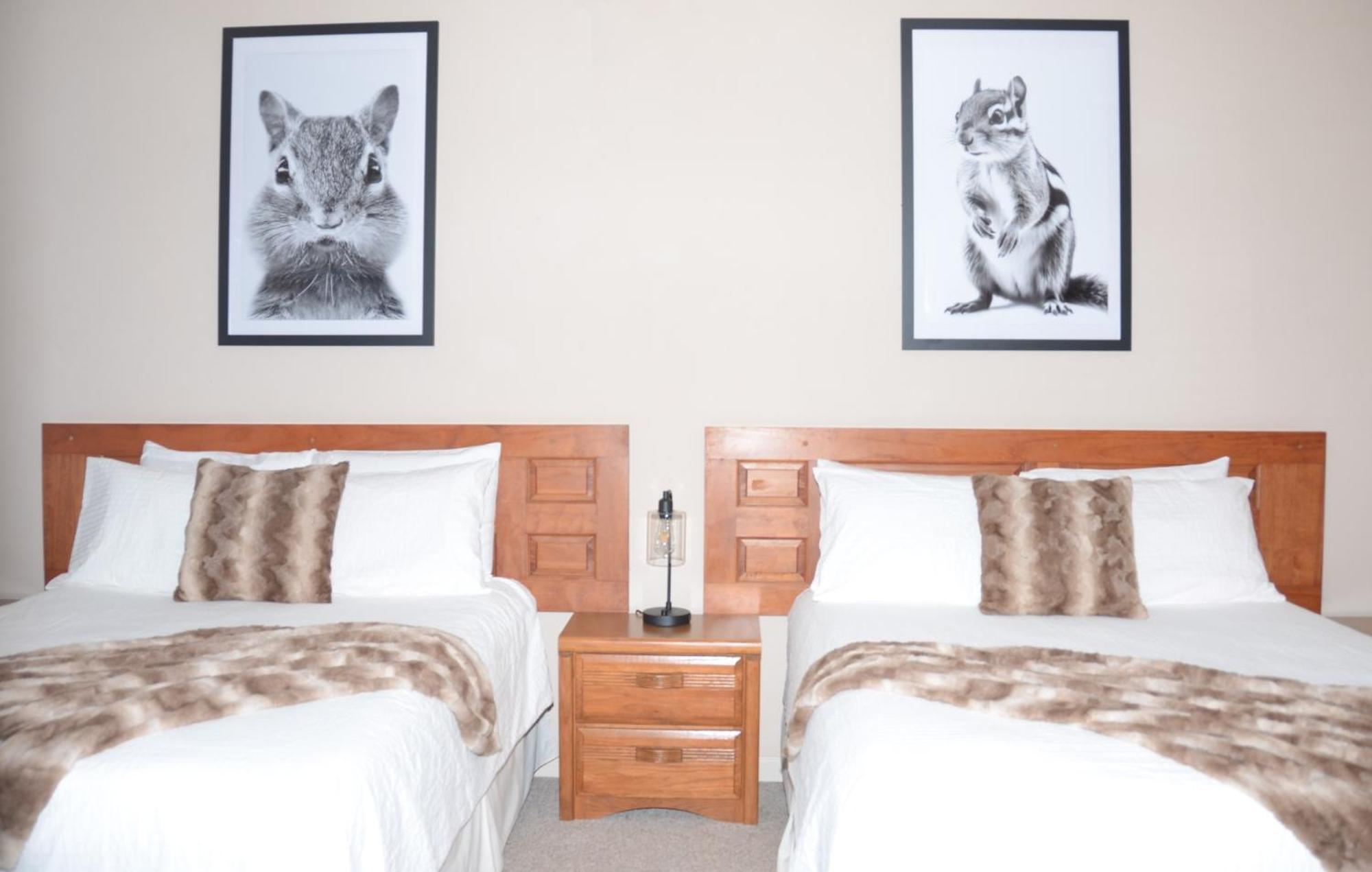 رونوك Bent Mountain Lodge المظهر الخارجي الصورة